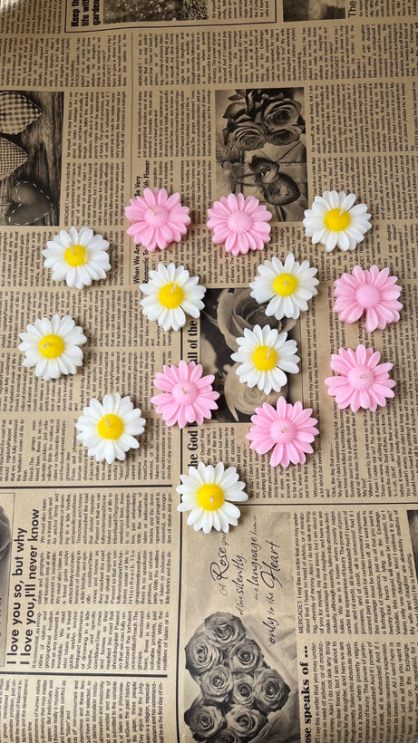 شمع گل بابونه در رنگبندی مختلف