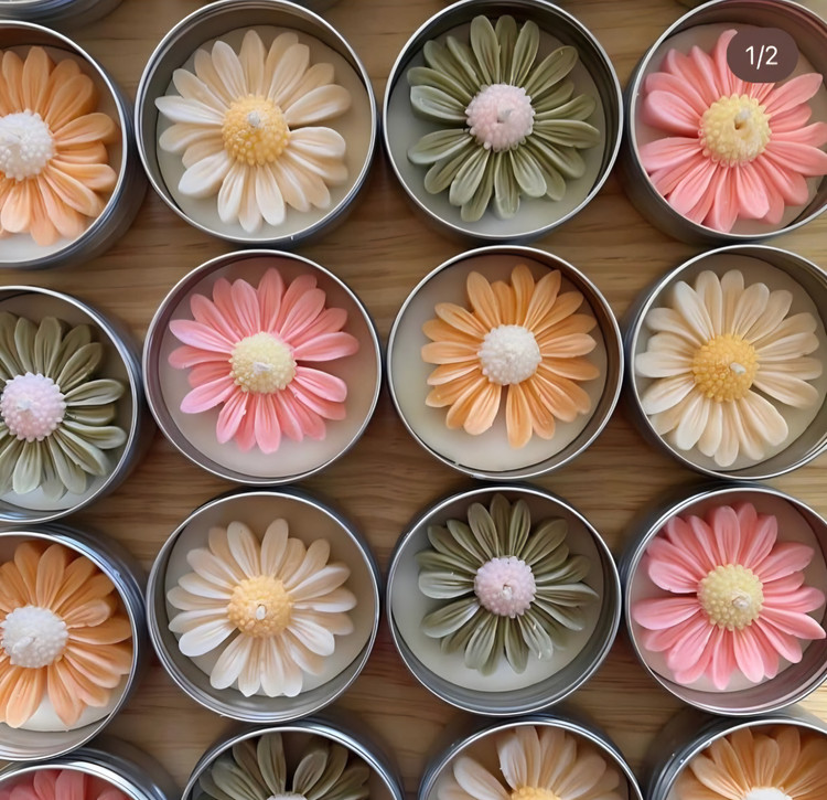 شمع گل بابونه در رنگبندی مختلف